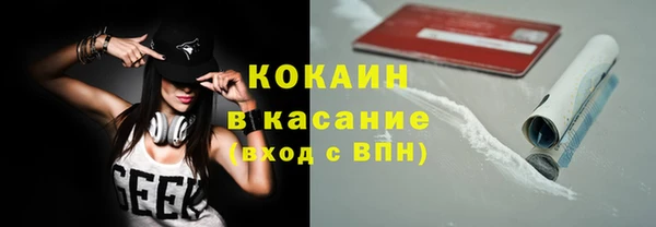 твердый Алзамай
