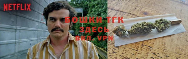 ГАЛЛЮЦИНОГЕННЫЕ ГРИБЫ Алексин