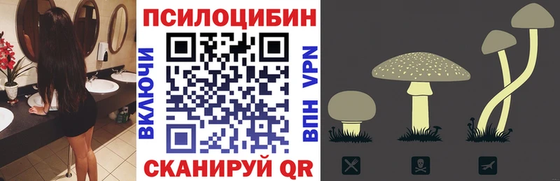 хочу наркоту  Полярный  Псилоцибиновые грибы мухоморы 